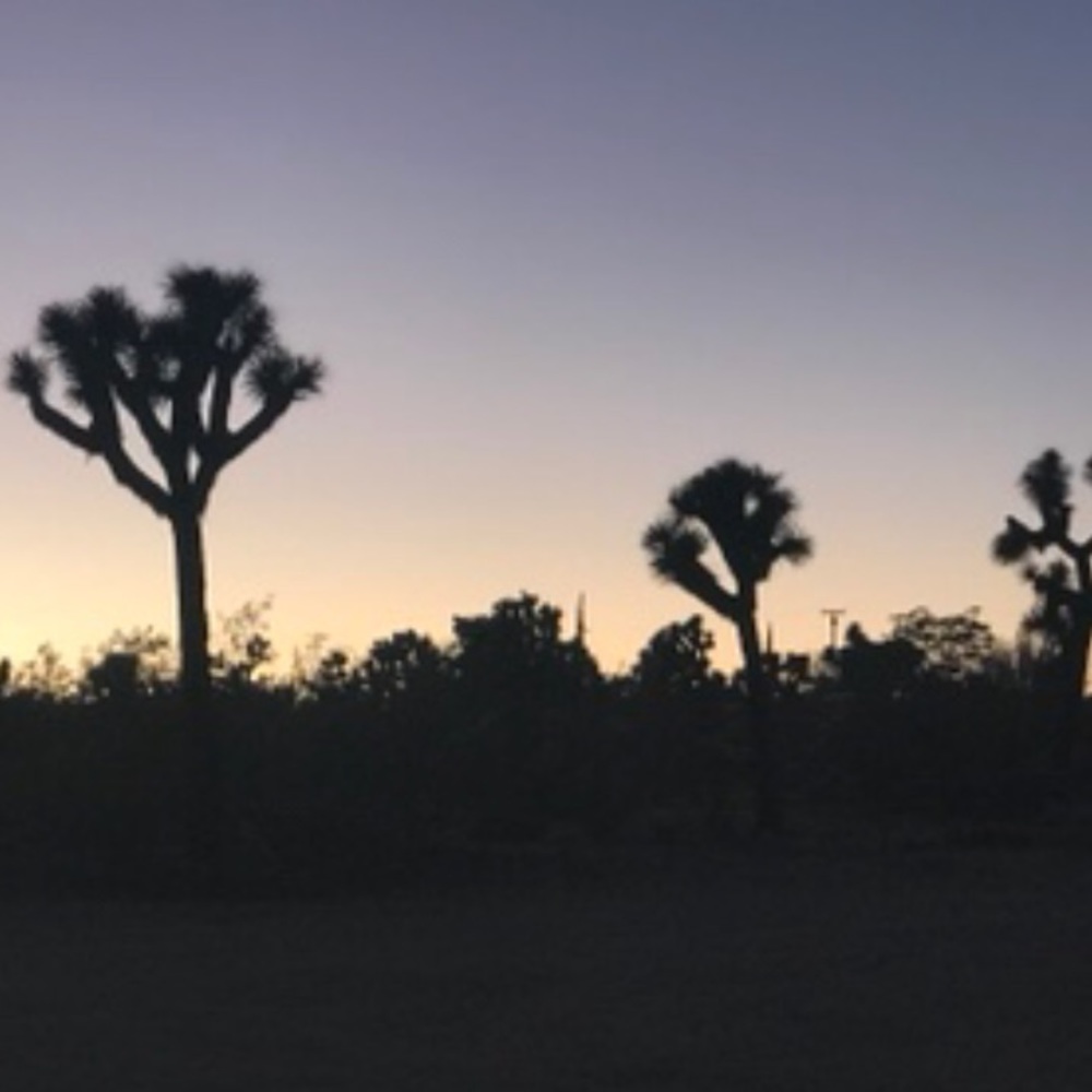 Meet your Posher, Kundalini